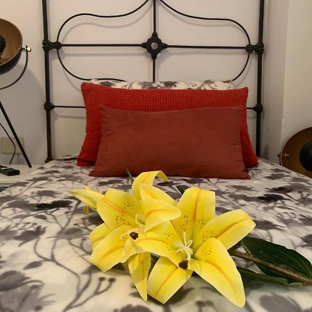 Apartament Dream Central Plaza Santa Cruz de Tenerife Zewnętrze zdjęcie