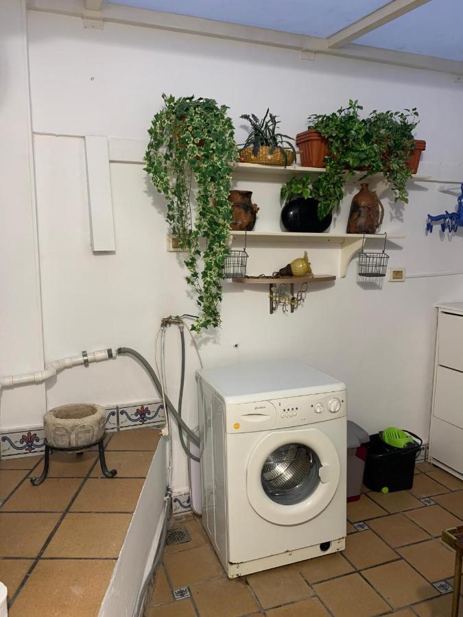 Apartament Dream Central Plaza Santa Cruz de Tenerife Zewnętrze zdjęcie