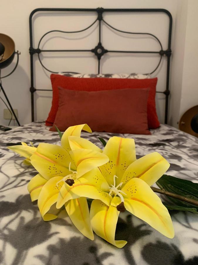 Apartament Dream Central Plaza Santa Cruz de Tenerife Zewnętrze zdjęcie