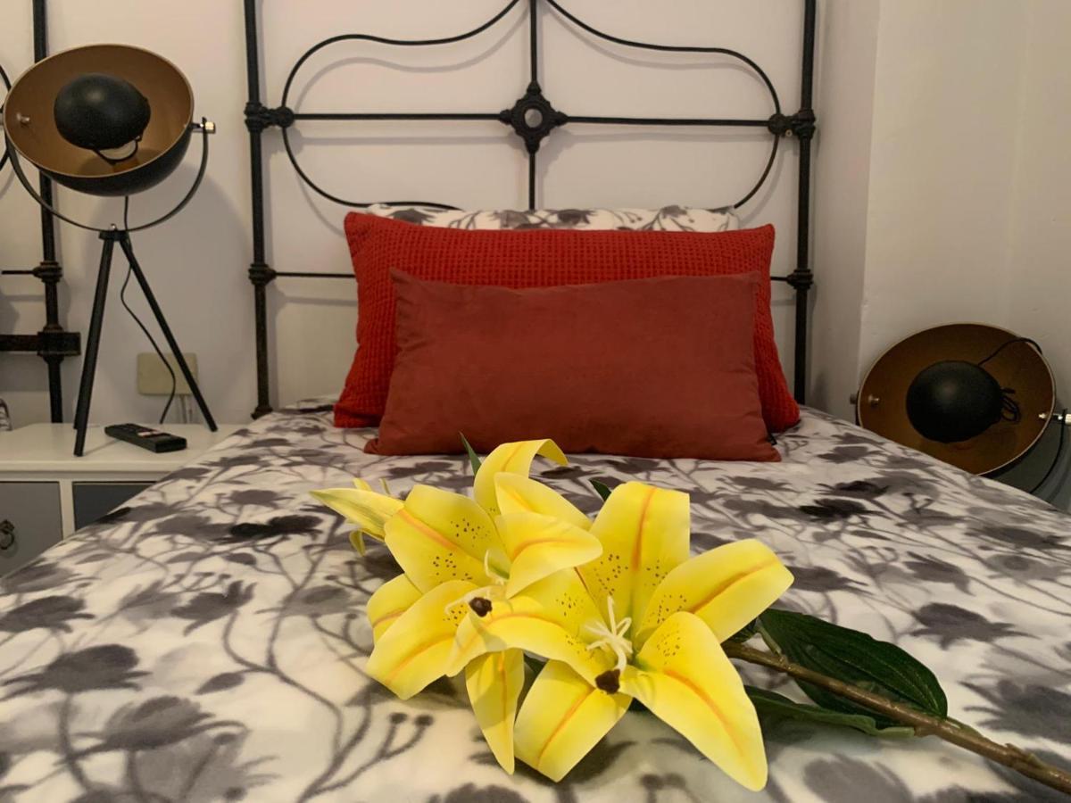 Apartament Dream Central Plaza Santa Cruz de Tenerife Zewnętrze zdjęcie