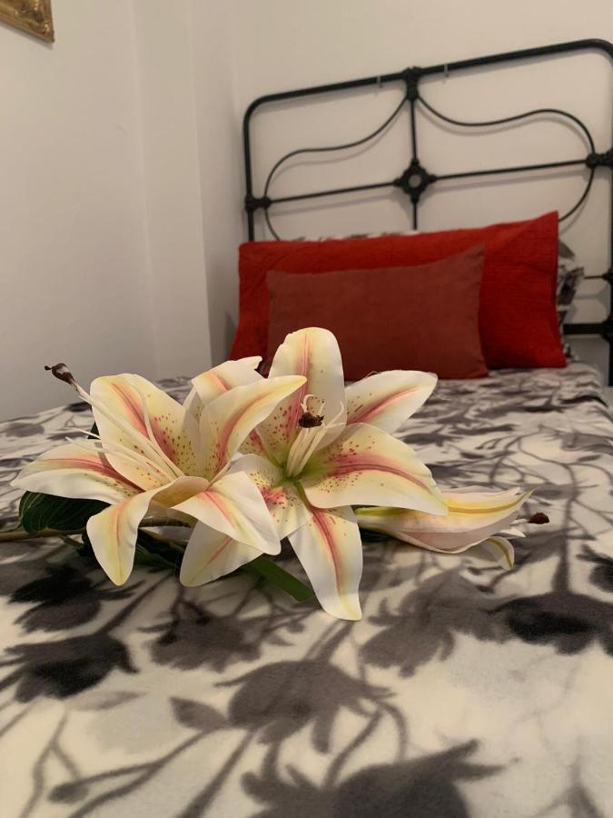 Apartament Dream Central Plaza Santa Cruz de Tenerife Zewnętrze zdjęcie