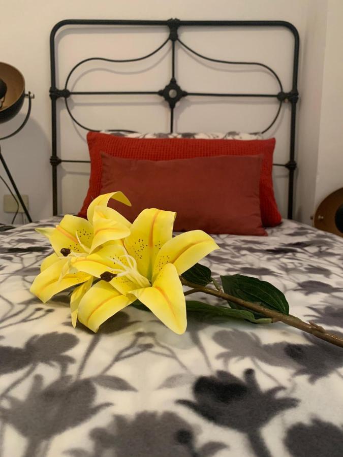 Apartament Dream Central Plaza Santa Cruz de Tenerife Zewnętrze zdjęcie