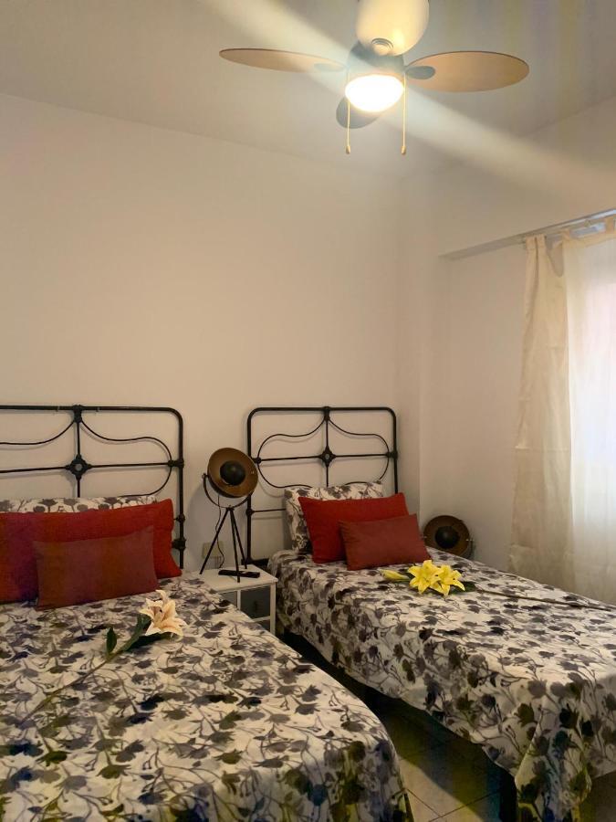 Apartament Dream Central Plaza Santa Cruz de Tenerife Zewnętrze zdjęcie