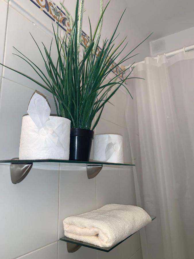 Apartament Dream Central Plaza Santa Cruz de Tenerife Zewnętrze zdjęcie